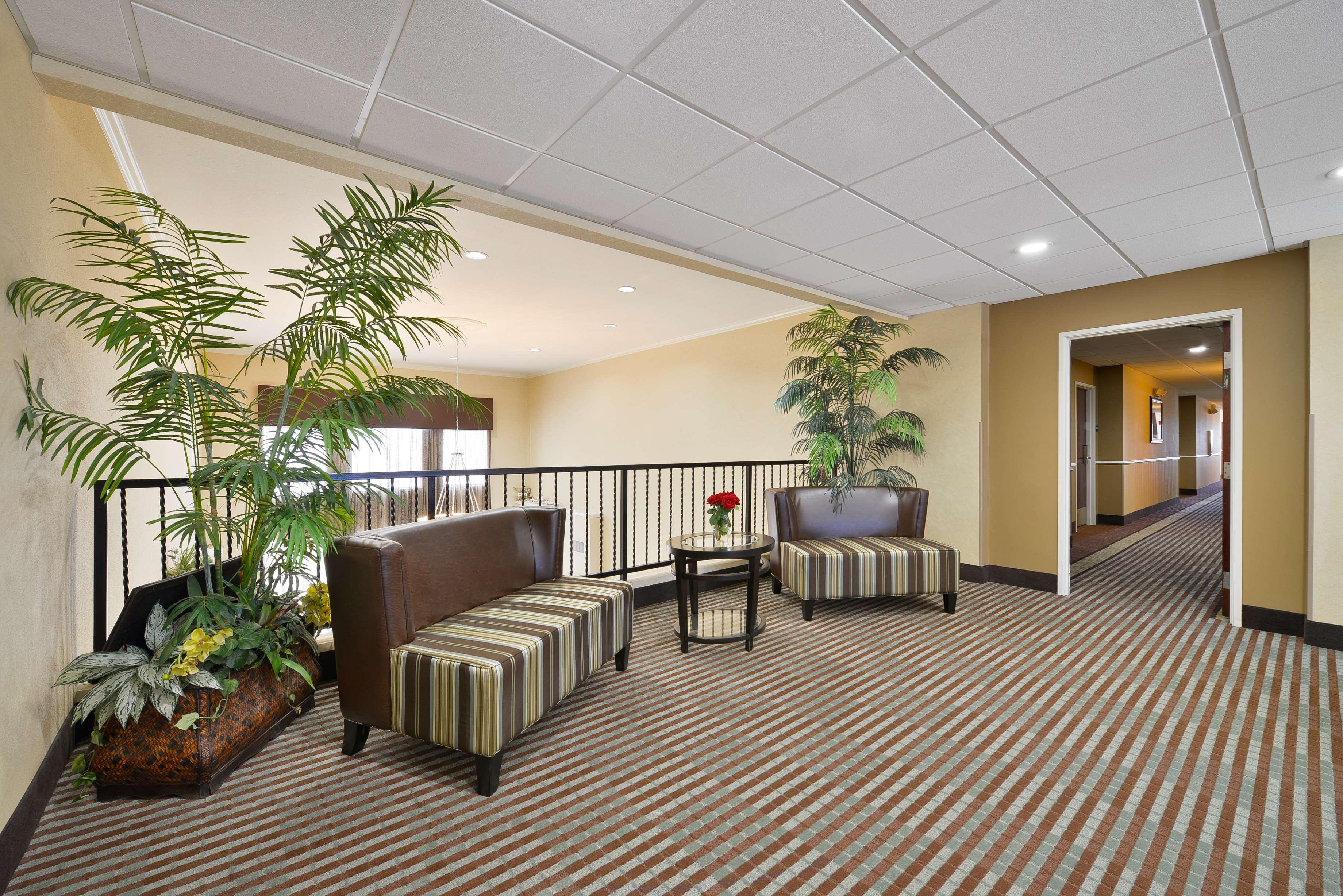 Best Western Plus Cutting Horse Inn & Suites Weatherford Exteriér fotografie